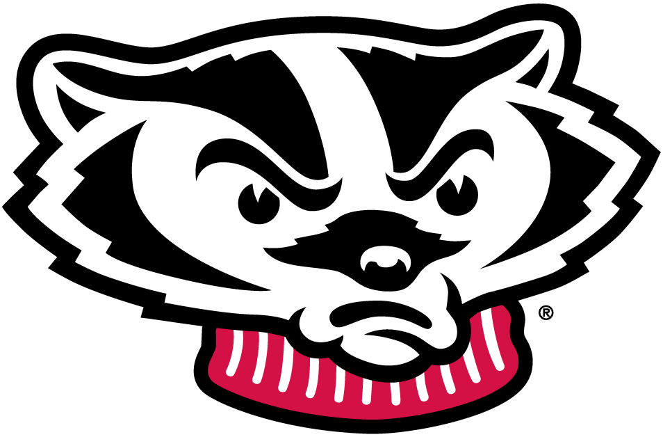 Wisconsin Badgers 2002-Pres Mascot Logo DIY iron on transfer (heat transfer)...